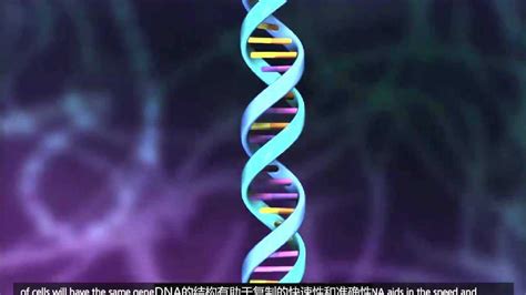 在黑色背景下，淡紫色或紫色的三维DNA结构。特写镜头。遗传螺旋的旋转。摘要用于医学和科学演示的3D循环动画。视频素材_ID ...