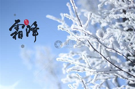 《冬季的霜》|摄影|风光摄影|michaelpst - 原创作品 - 站酷 (ZCOOL)