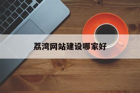荔湾区网站设计开发公司推荐(广州网页设计公司)_V优客