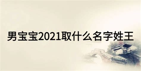 男宝宝2021取什么名字姓王_起名问答-美名宝起名网
