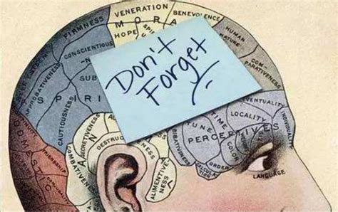 遗忘的记忆从未真正消失：大脑如何再学习 - 知乎