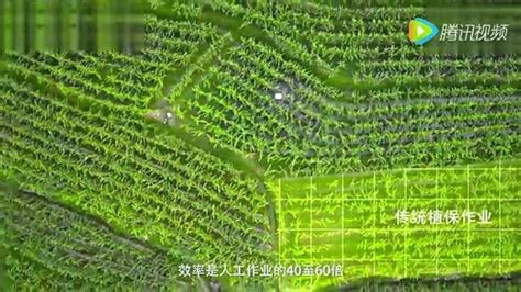 中国农业科学院植物保护研究所科学开放日来了！-中国农业科学院植物保护研究所