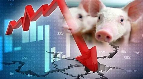 猪价破位“拉涨”，市场情绪陡变，猪价八成要降了？分析来了 - 猪好多网