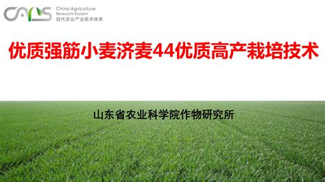 农业农村部：2020年基层农技推广体系改革与建设任务实施工作(印发) – 69农业规划设计.兆联顾问公司