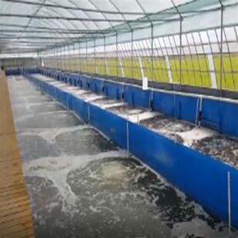 主营项目:工厂化循环水养殖系统，池塘工业化生态养殖系统，水产养殖水处理设备，移动钢架养殖池