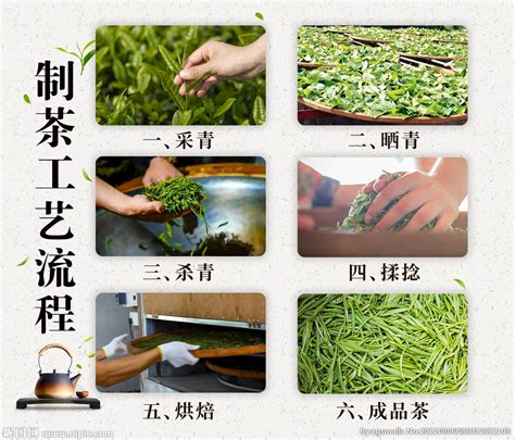 茶叶制茶工序设计图__传统文化_文化艺术_设计图库_昵图网nipic.com