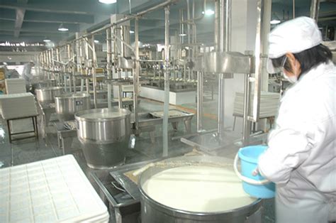 豆腐加工机械 永进豆制品生产线