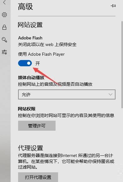 Flash Player版本过旧怎么办_浏览器_网页_Win