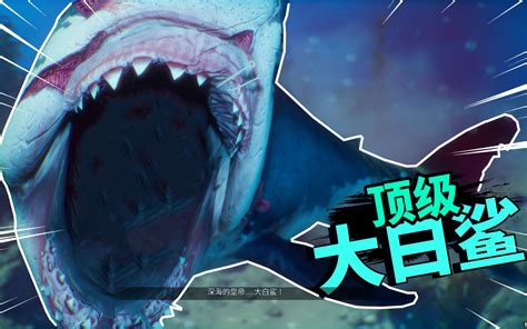 顶级掠食者：海洋中食人鲨的恐怖统治-黑桃’K手游网
