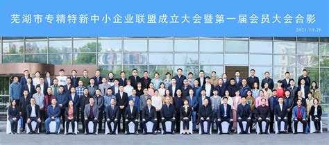 芜湖宝能电子信息产业园-芜湖电子信息产业国家级开发区-久久厂房网