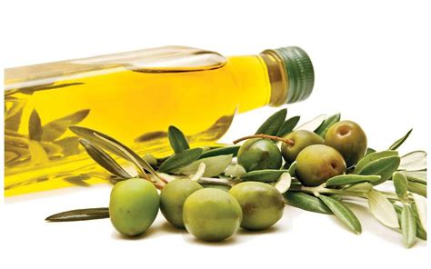 【图】神奇橄榄油的功效与作用 让你的生活妙不可言_橄榄油的功效与作用_伊秀美容网|yxlady.com