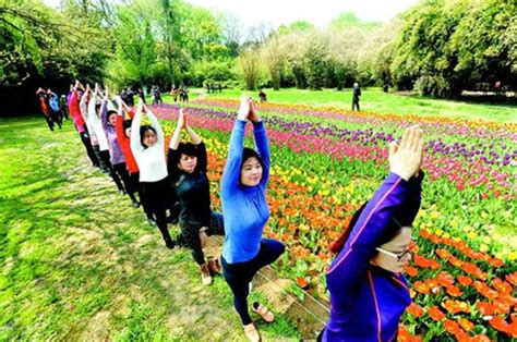3月28日湖北日报图文：花丛边练瑜伽----中国科学院武汉植物园
