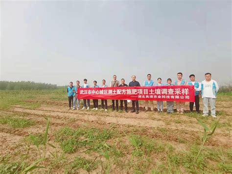 “国企联村”发展新产业，这个村集体经济有望突破50万元-武汉市农业农村局