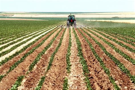 发力农业现代化！江苏投入2.2亿支持农业科技成果转化与推广