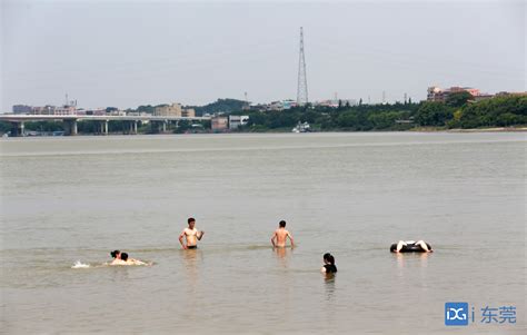 记者走访东江水域，警示标识挡不住野泳热情