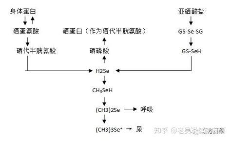 CAS:10102-18-8|亚硒酸钠_爱化学
