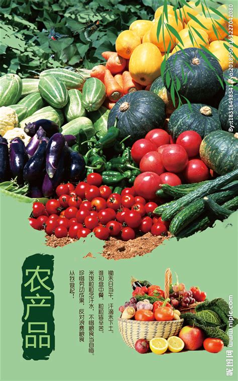 绿色蔬菜农产品宣传海报设计模板 – 设计小咖