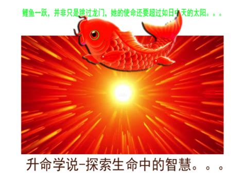 最具影响力的华人排行榜，中国第一玄学大师颜廷利先生点击看 今日点击网文章详情 www.jrdji.com
