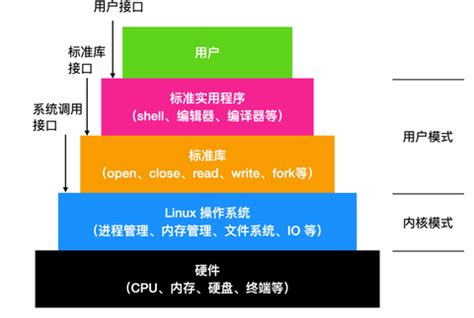 Adobe Reader XI怎样设置中文?Adobe Reader XI设置中文的教程_华军软件园