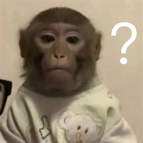 猴子大耳猴Q版卡通角色动物形象聊天表情包大哭素材图片免费下载-千库网