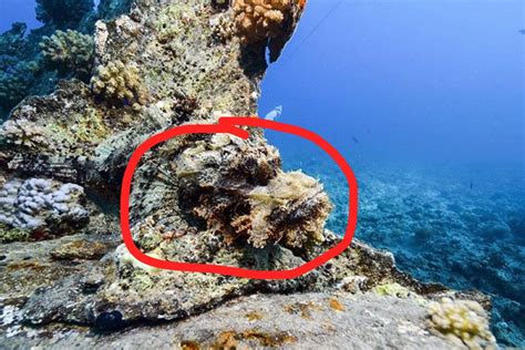 世界最危险的海，水下能见度达到70米，被称为“海上坟地”！_能见度_坟地_被称为
