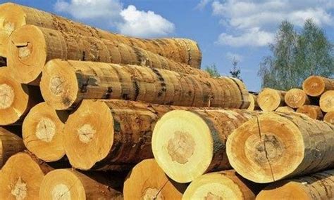 木材-上海力寻木业有限公司