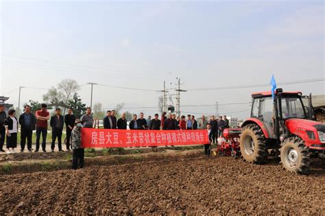 房县：推广大豆玉米带状复合种植模式 增产增效增收--湖北省农业农村厅