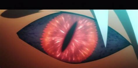 火影忍者：在最终决战中，拥有白眼的辉夜为什么不开启转生眼呢？