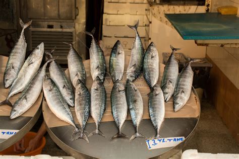 海鲜市场鱼,海鲜鱼鱼类_大山谷图库