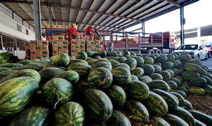 缅甸西瓜：边境口岸延长开放促出口 严控运量防止价格下跌 - 亚洲水果