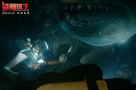 《鲨海逃生》：险象环生的鲨海，令人窒息的逃生__凤凰网