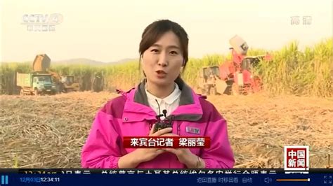 CCTV-4 中文国际频道(亚洲版)高清直播