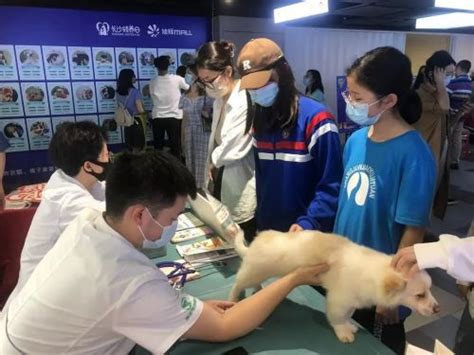 有爱：小小兽医体验，让孩子更懂得爱-中国国际宠物水族用品展CIPS