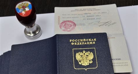 居留证可能成为俄罗斯的主要移民身份 - 俄罗斯卫星通讯社