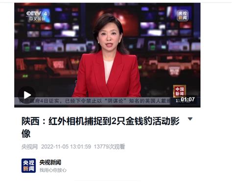 2022年11月5日CCTV4中文国际“陕西红外相机捕捉到2只金钱豹活动影像” - 中国自然保护区生物标本资源共享平台