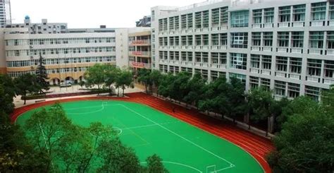 武汉市小学排名一览表2021最新 武汉市小学排名2021最新前十