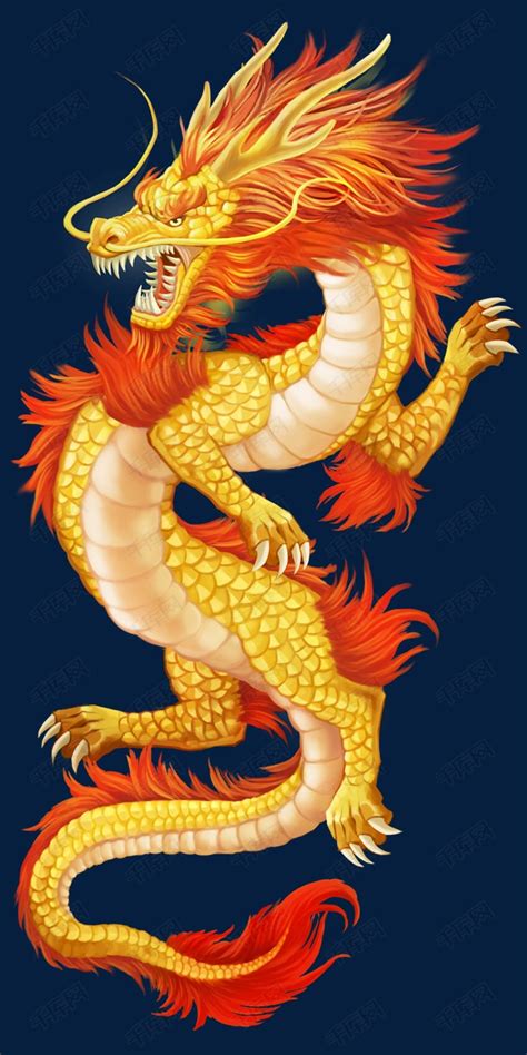 中国风金龙装饰插画素材图片免费下载-千库网