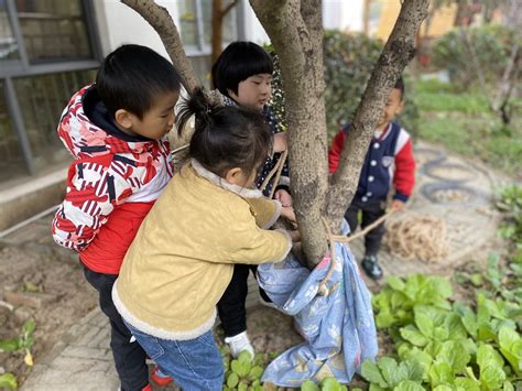 红梅幼：“暖树”又“暖心”，我给大树穿新衣-新闻速递 -#R##N# 常州市天宁区红梅幼儿园