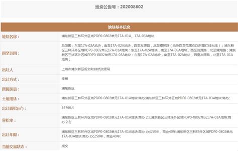浦东新区品牌软件开发业务流程Word模板下载_编号qxwakdka_熊猫办公