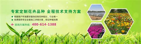 云城区省级花卉产业园企业销售迎来开门红