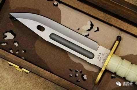 世界现代最顶级的匕首：世界上最好看最锋利的匕首有哪些(2)_奇象网