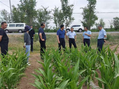 我院专家团队赴玛纳斯县开展全国农业科技现代化先行县建设工作调研-新疆农业科学院