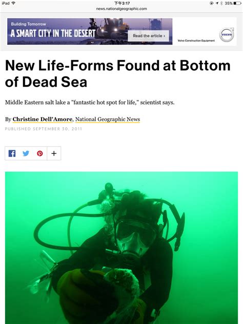 死海为什么被称为“死海”？真没有任何生物在里面生存吗？|死海|含盐量|生物_新浪新闻