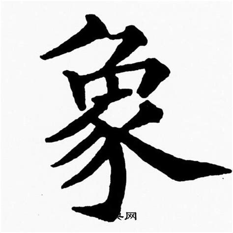 【象形识字】象的字源动画 象的古文动画 学习汉字科学方法甲骨文金文篆文