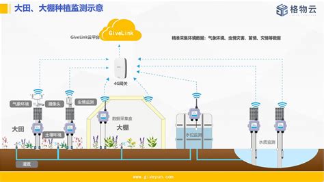 大田智能灌溉系统-物联网-南京及时雨农业科技有限公司