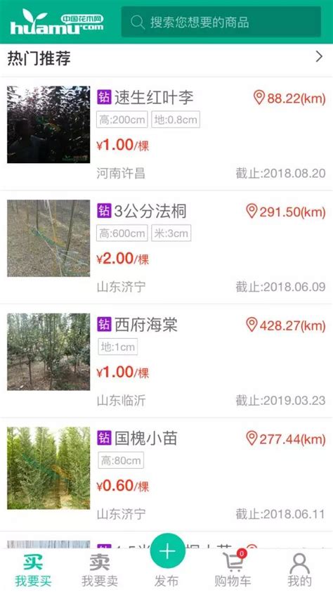 全国苗木市场进入淡季，而这里的苗木“销售”却依然火爆！！！-行情分析-中国花木网