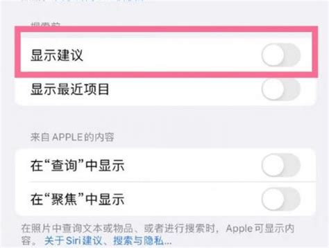 苹果14pro如何设置搜索建议-苹果14pro搜索建议设置方法是什么-刊之家下载
