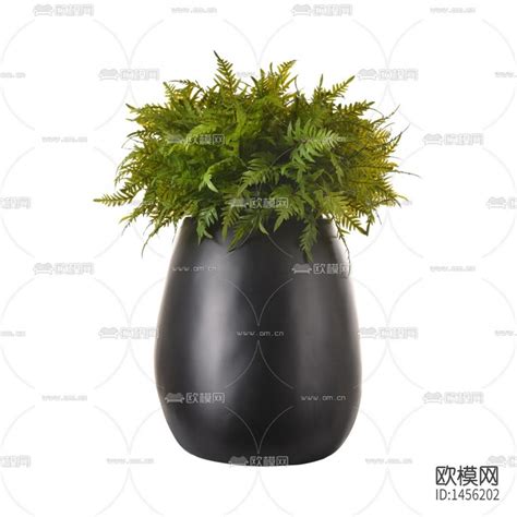 现代简约创意灰色陶瓷花瓶摆放绿植-软装图片免费下载-欧模网