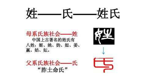 中国人姓名的起源与发展 - 知乎