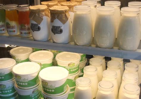 「茉酸奶」全国门店突破1000家 | Foodaily每日食品
